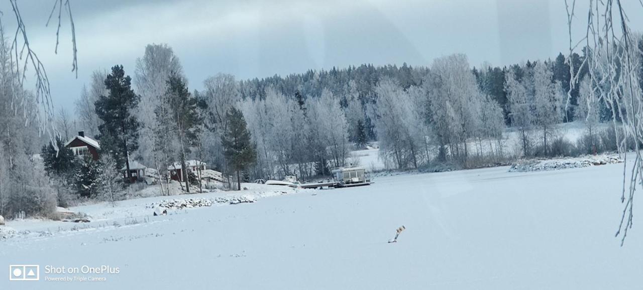 Uusi Saunamoekki Jaemsaessae, Laehellae Himosta Chalet