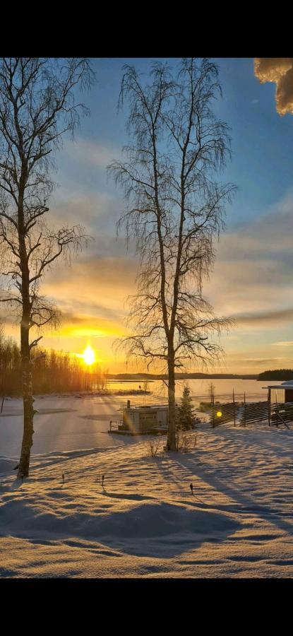 Uusi Saunamoekki Jaemsaessae, Laehellae Himosta Chalet