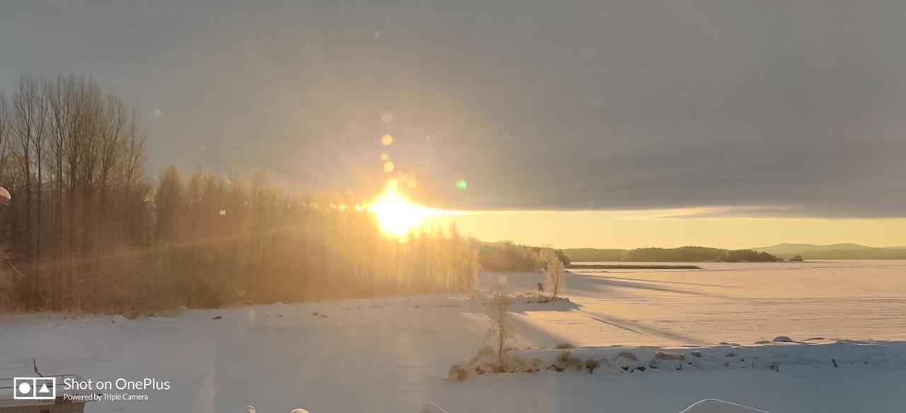 Uusi Saunamoekki Jaemsaessae, Laehellae Himosta * Jämsä